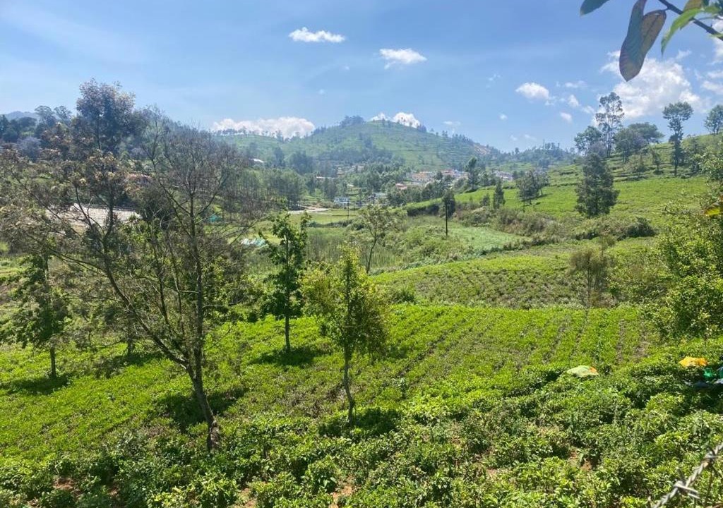 Photo of Others in Kotagiri