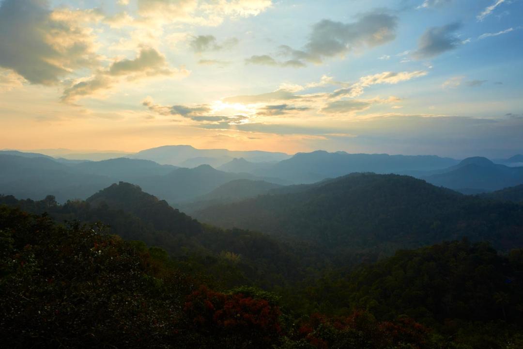 Photo of Others in Valparai