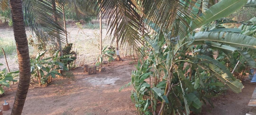 Photo of Others in Murud