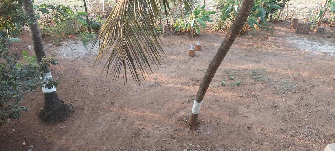 Photo of Others in Murud