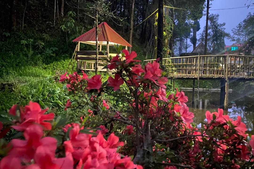 Photo of Others in Darjeeling