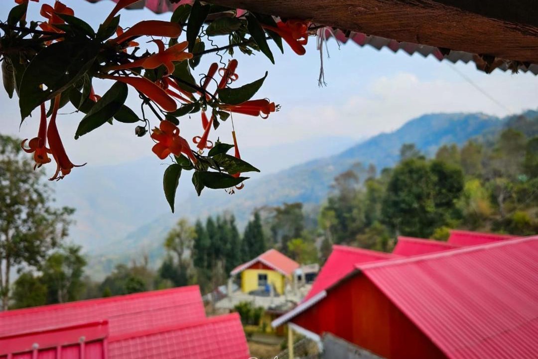 Photo of Others in Kalimpong