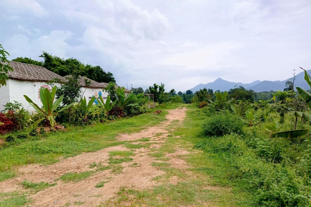 Photo of Others in Alaparthi