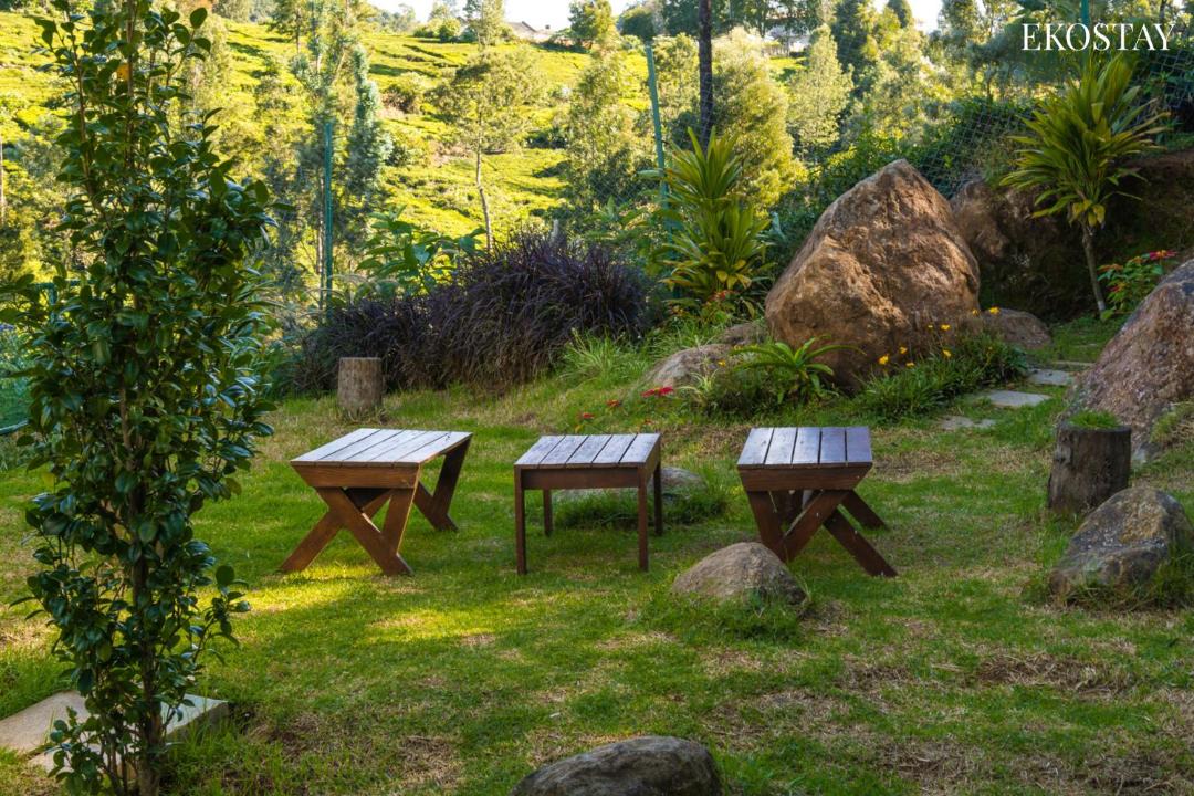 Photo of Outdoor in Wellington