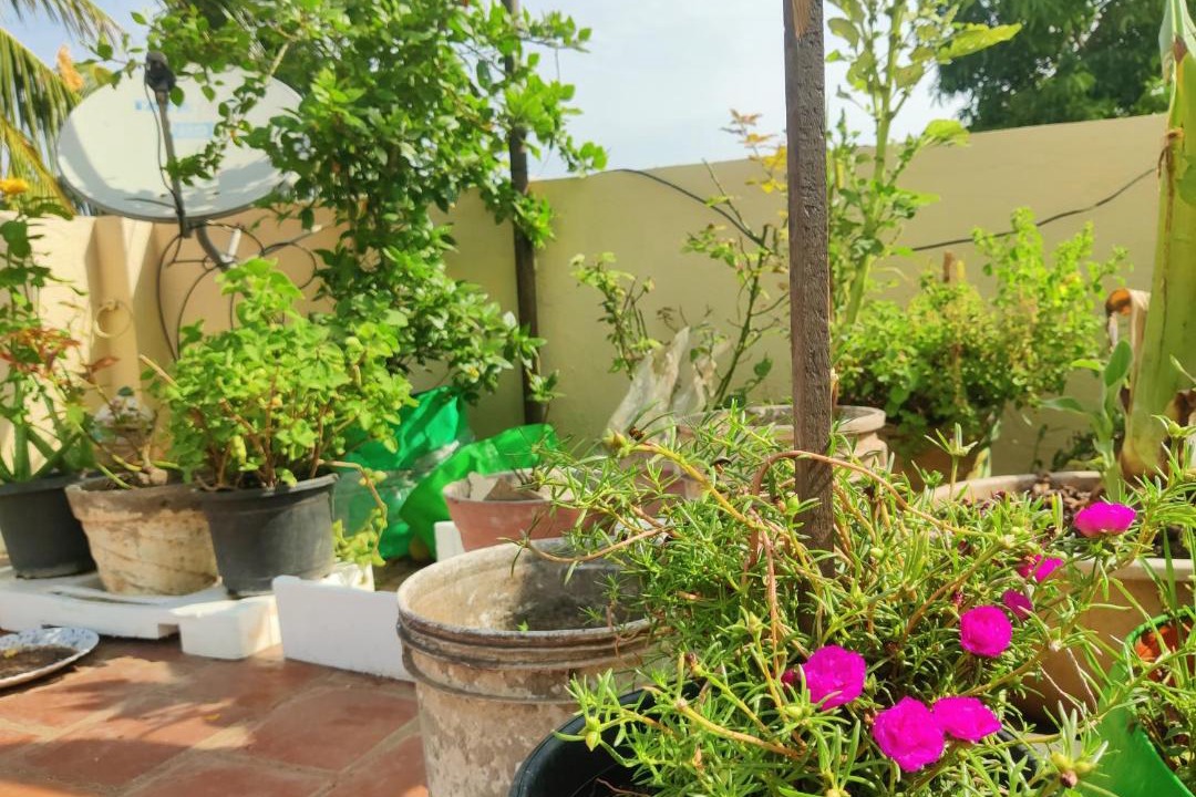 Photo of Patio Balcony in Chennai