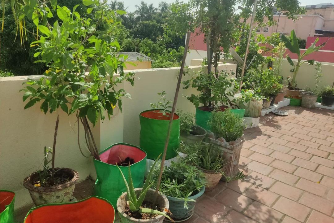 Photo of Others in Chennai
