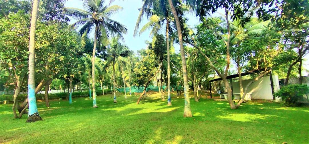 Photo of Others in Covelong Beach
