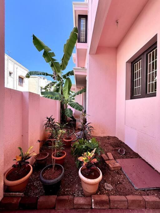 Photo of Patio Balcony in Madurai