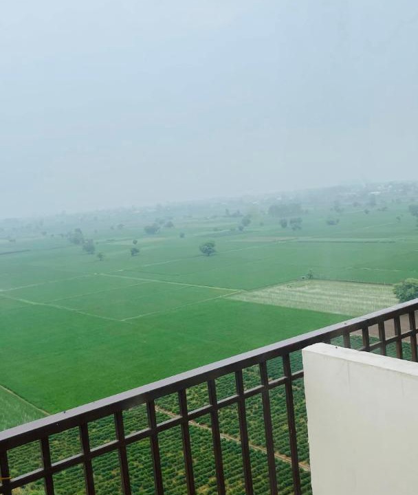 Photo of Others in Chandigarh