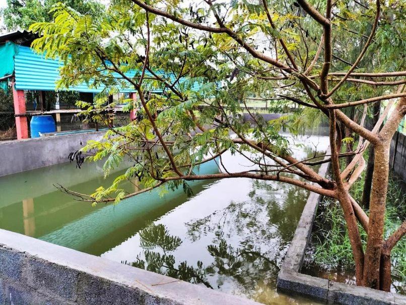Photo of Others in Cheyyur
