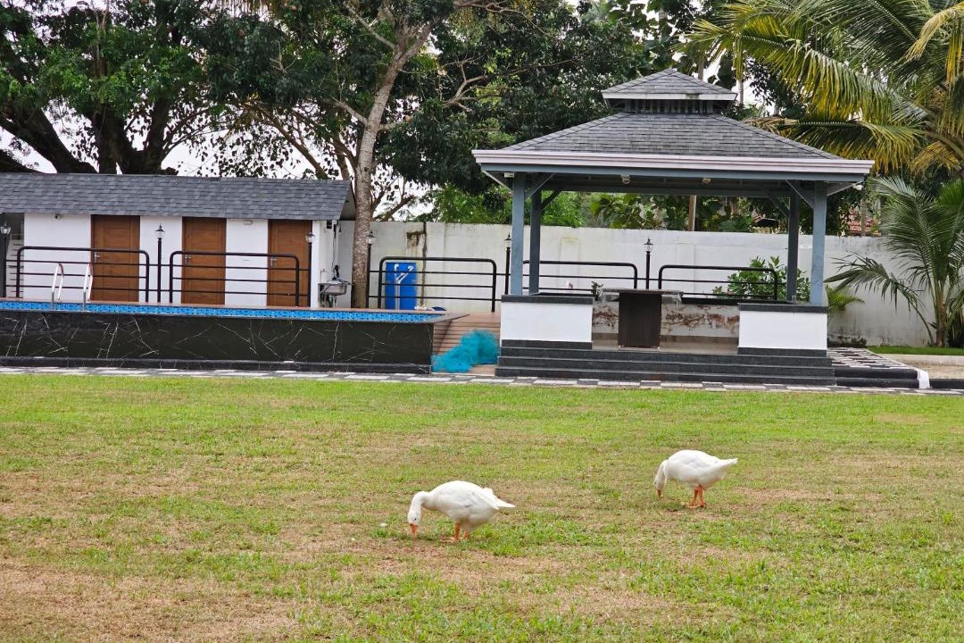Photo of Others in Cherthala