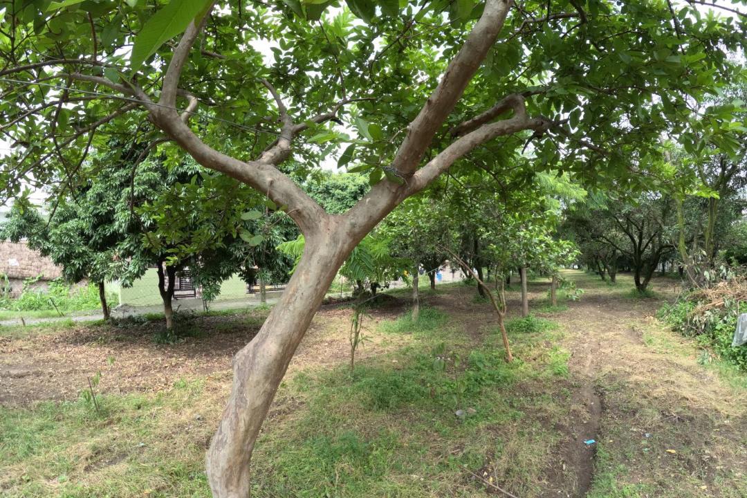 Photo of Outdoor in Dehradun