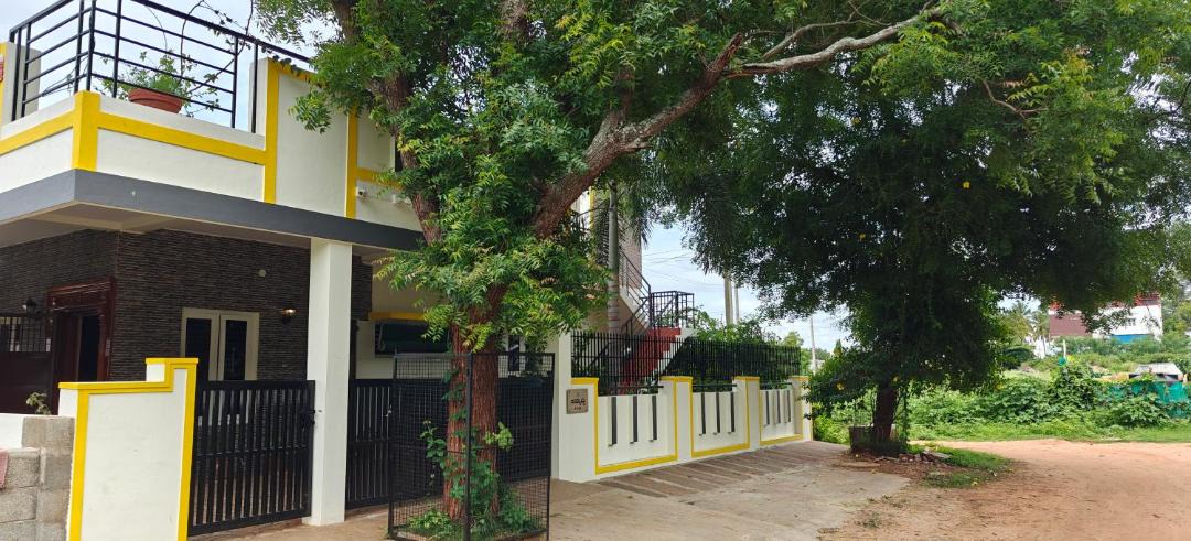 Photo of Buildings in Mysore