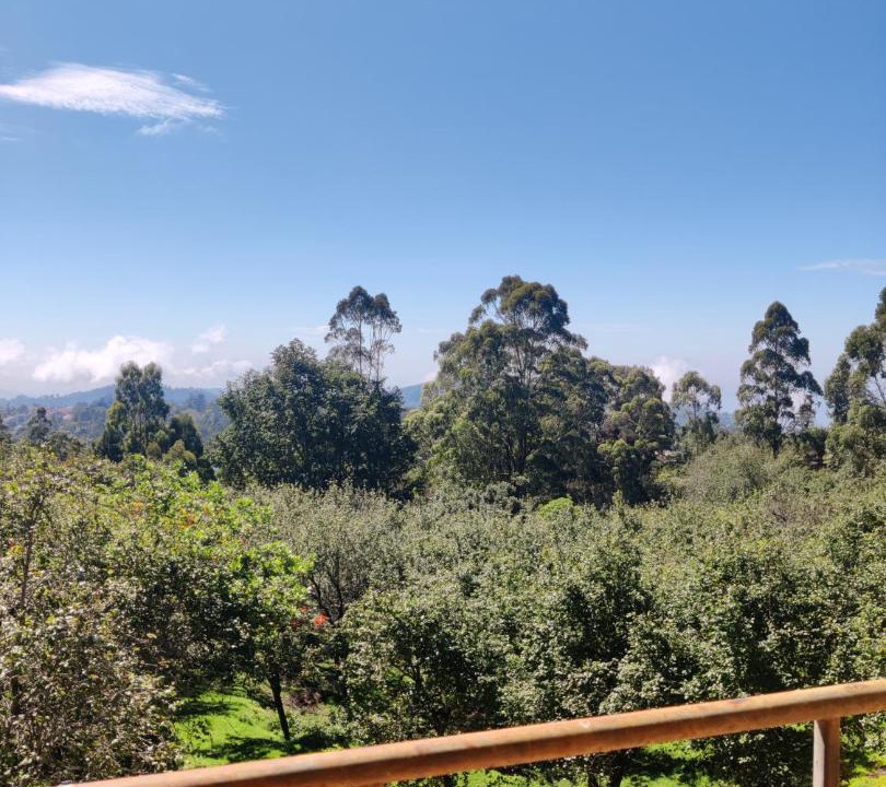 Photo of Others in Kodaikanal