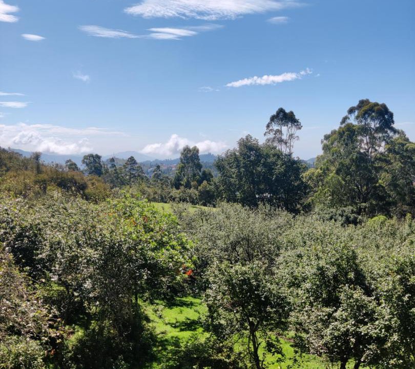 Photo of Outdoor in Kodaikanal