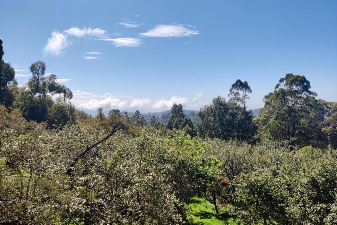 Photo of Outdoor in Kodaikanal