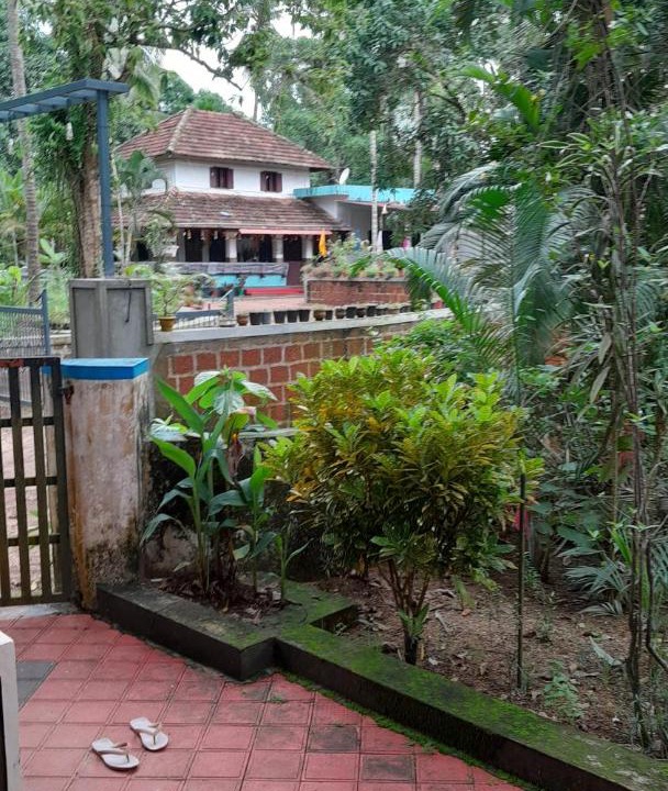 Photo of Others in Talipparamba