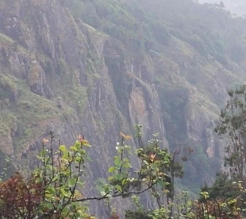 Photo of Others in Vattakanal