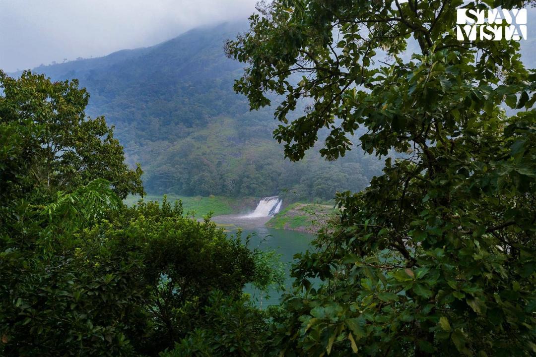 Photo of Outdoor in Udumbanchola