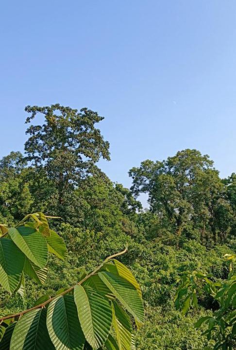 Photo of Others in Alipurduar