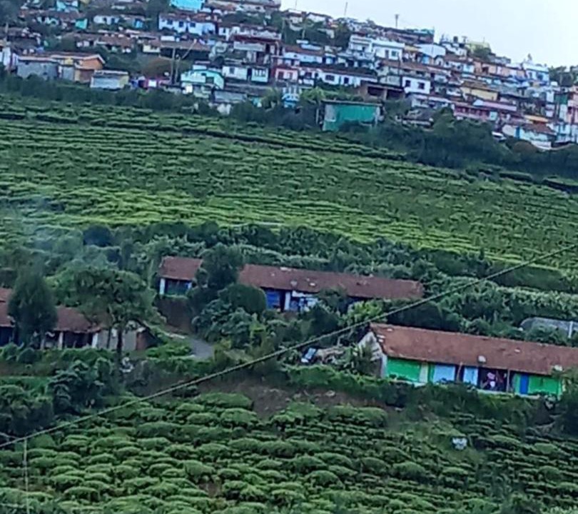 Photo of Others in Ooty
