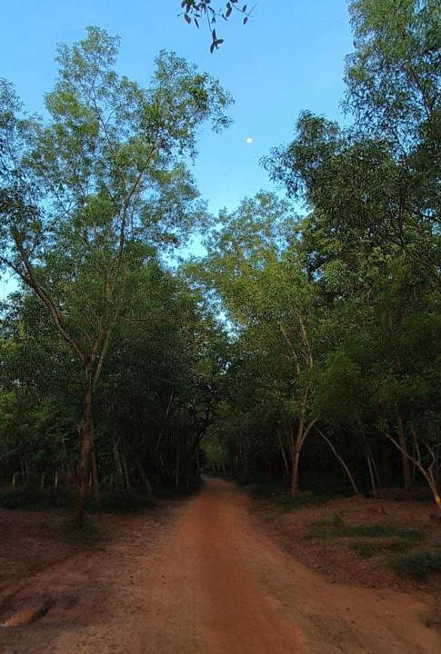 Photo of Others in Auroville