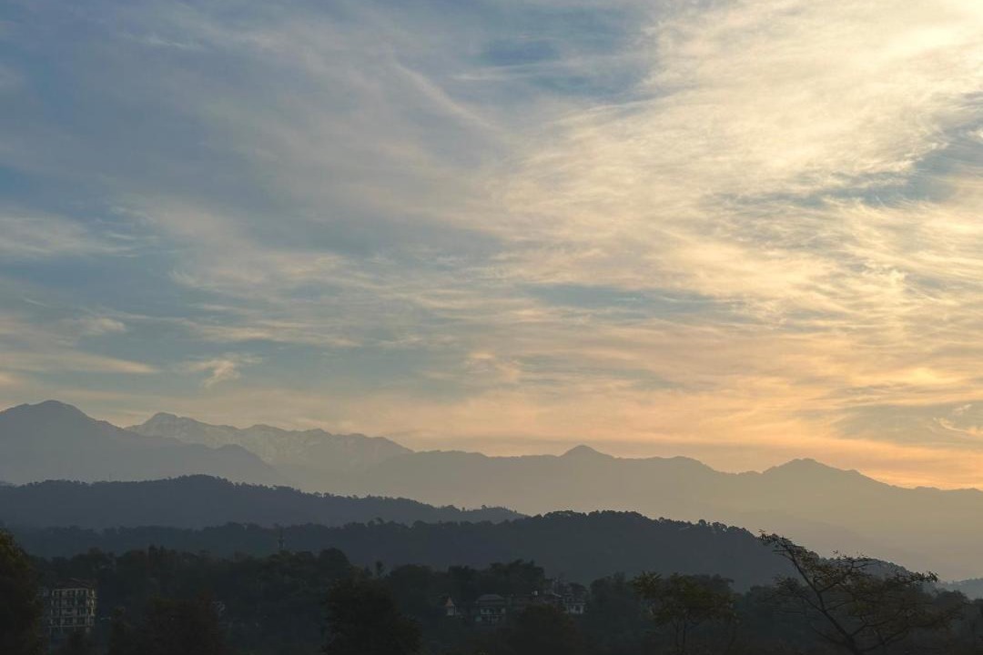 Photo of Others in Palampur