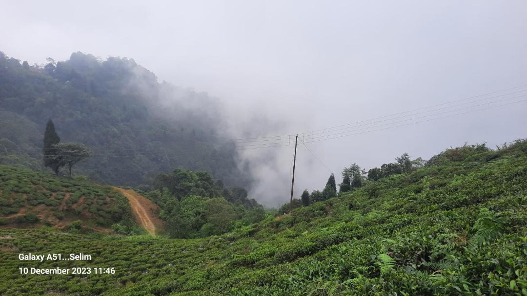 Photo of Others in Kurseong