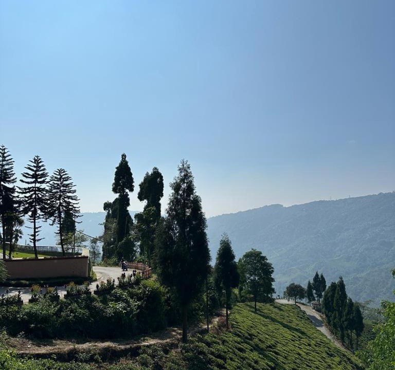 Photo of Others in Darjeeling