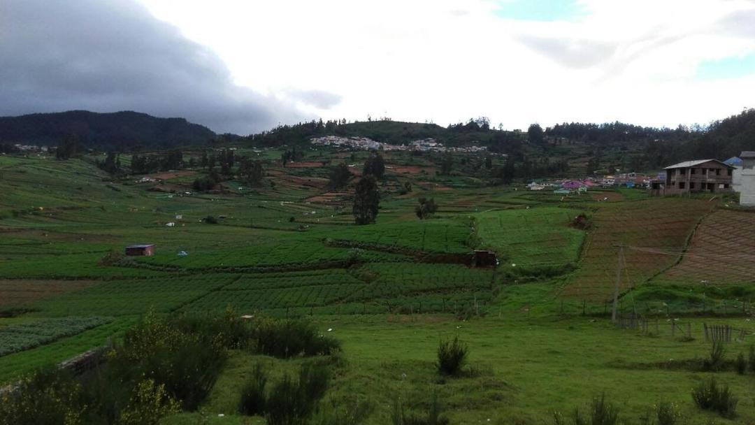 Photo of Others in Ooty