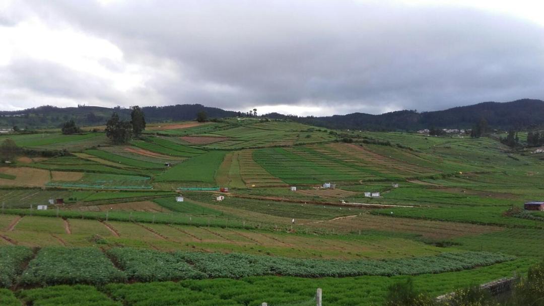 Photo of Others in Ooty