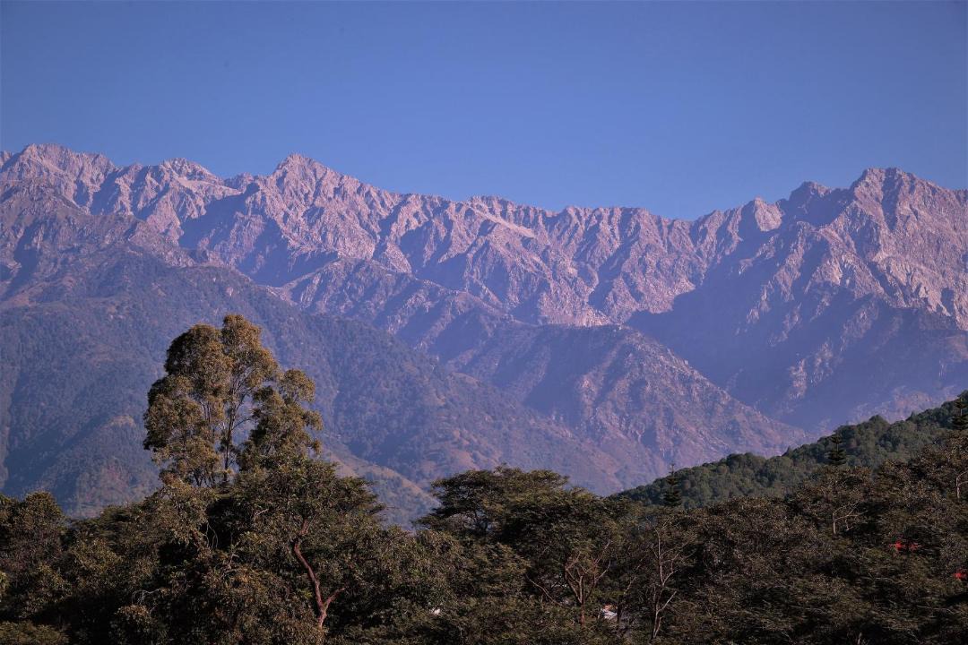 Photo of Others in Palampur