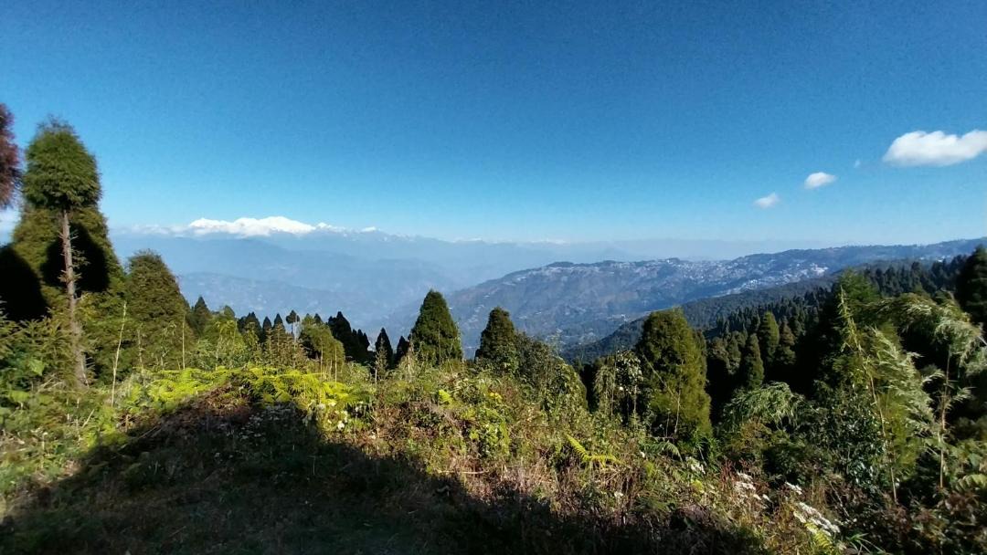 Photo of Others in Darjeeling