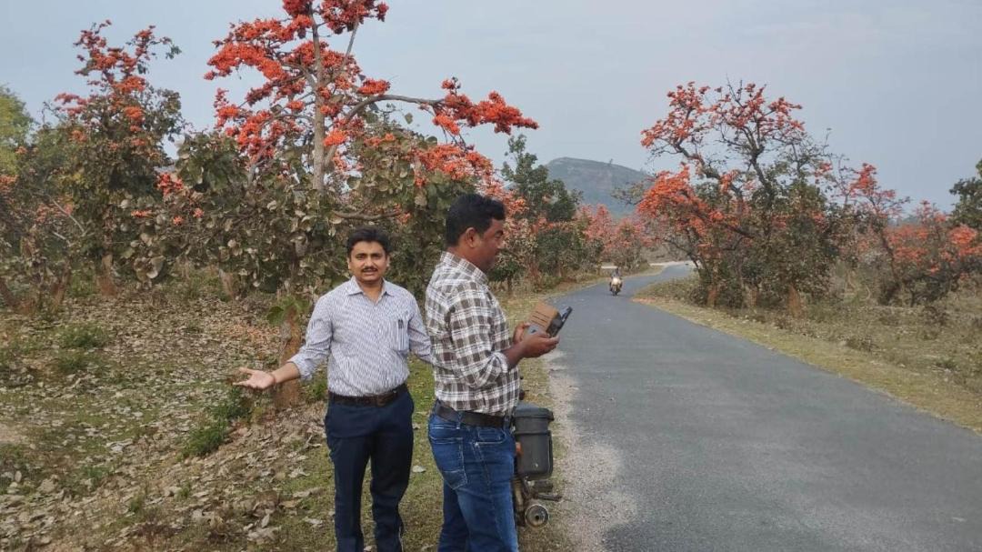 Photo of Others in Purulia