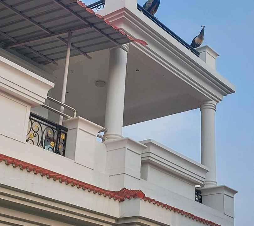 Photo of Others in Tiruchirappalli
