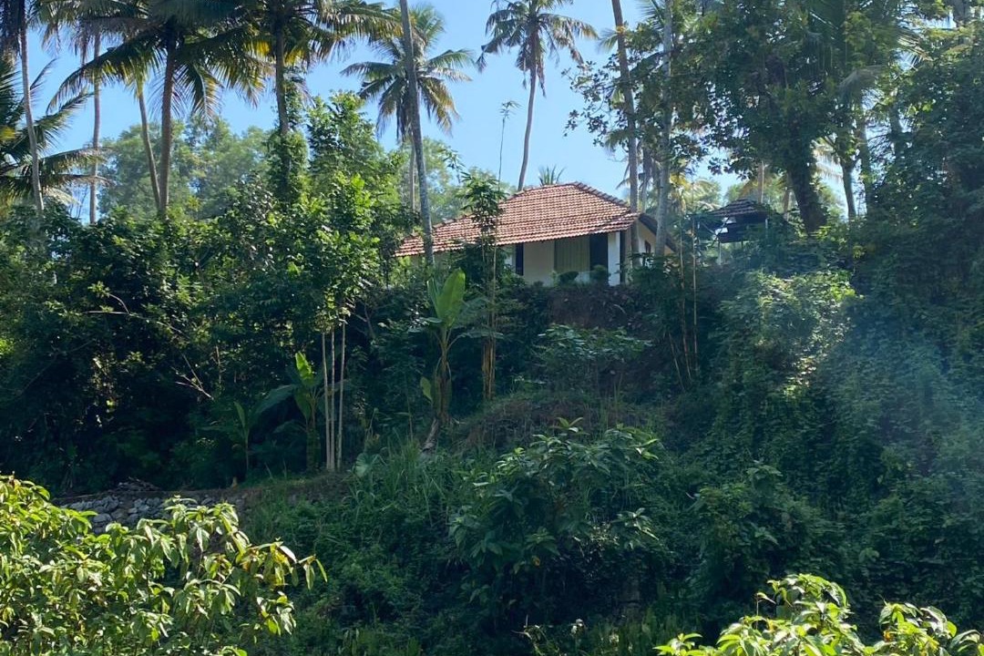 Photo of Others in Neyyattinkara