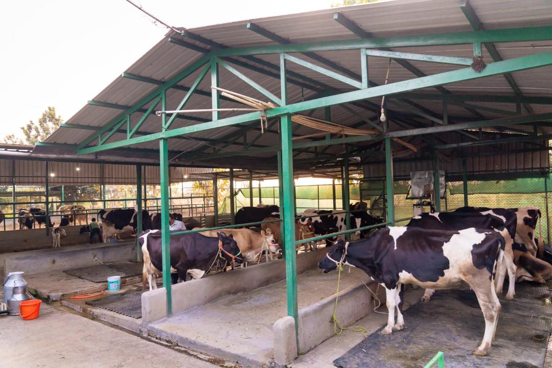 Photo of Others in Yadiyur