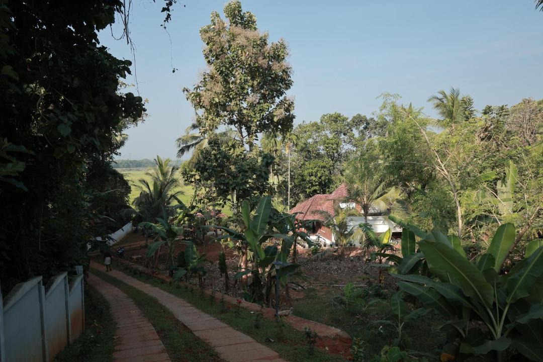 Photo of Others in Ottapalam