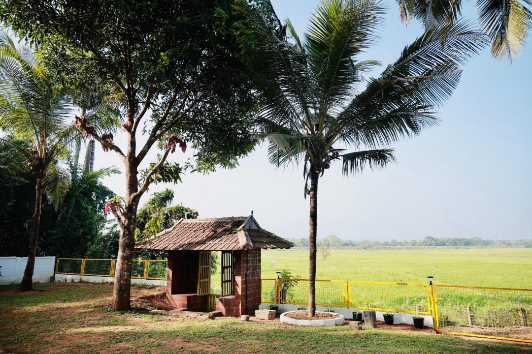 Photo of Others in Ottapalam
