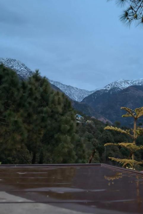 Photo of Outdoor in Palampur