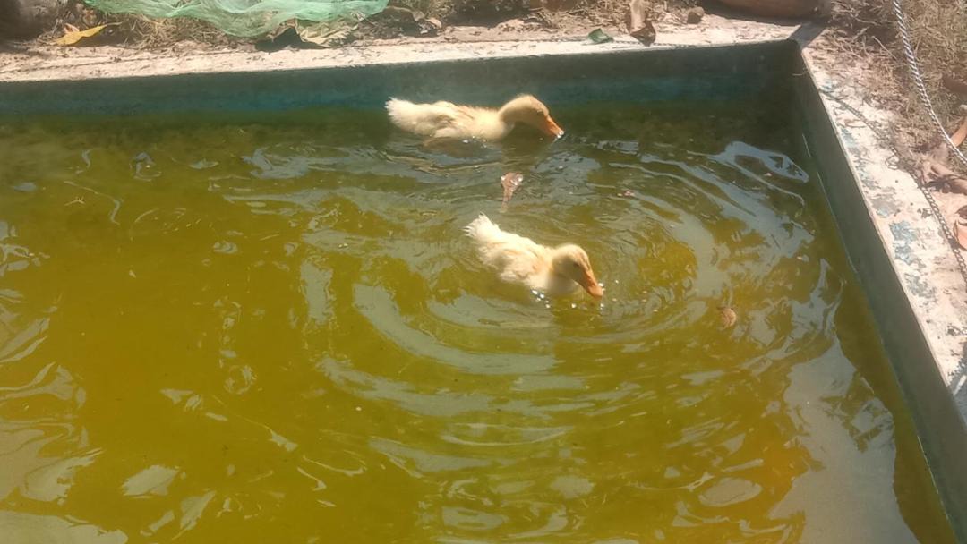 Photo of Others in Somvarpet