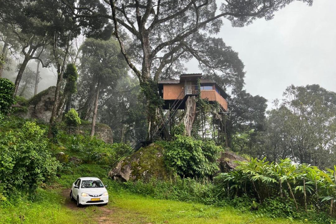 Photo of Buildings in Pallivasal