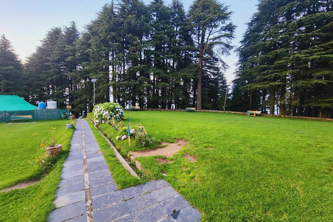 Photo of Others in Banikhet