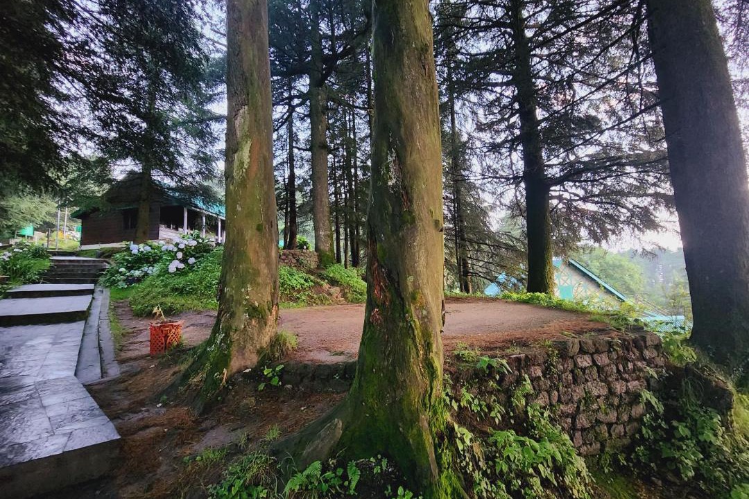 Photo of Others in Banikhet