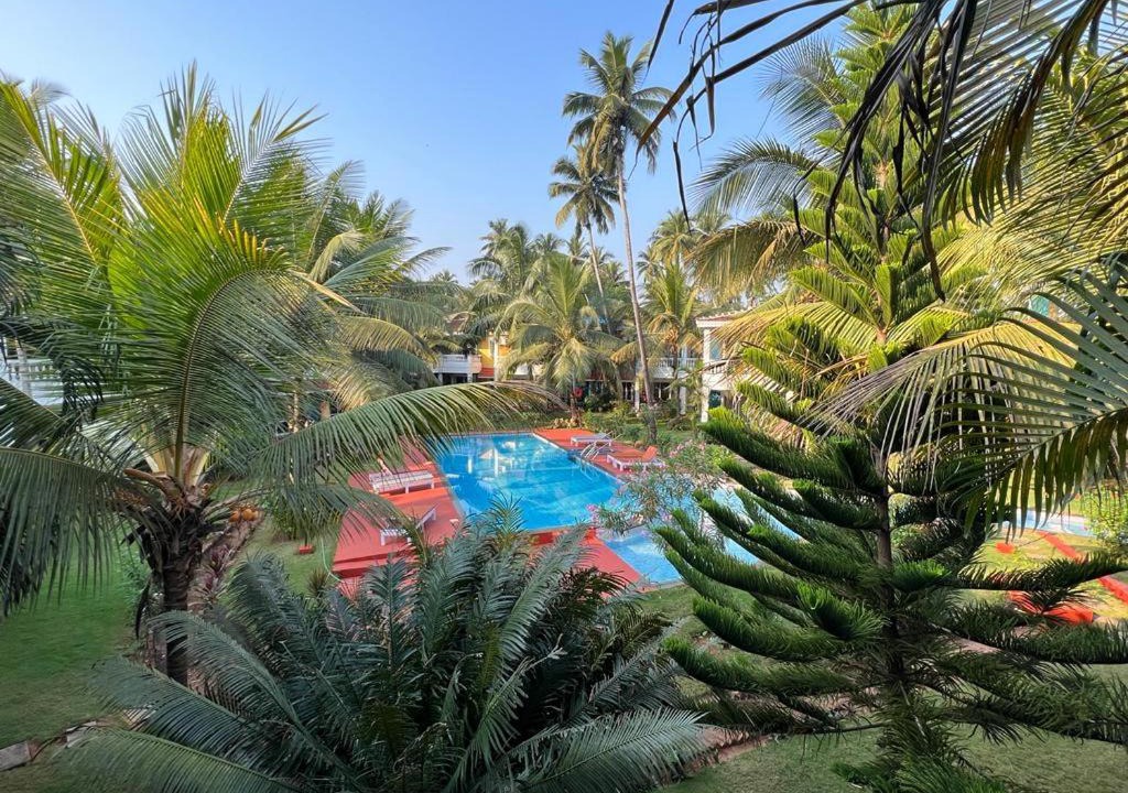 Photo of Others in Siolim