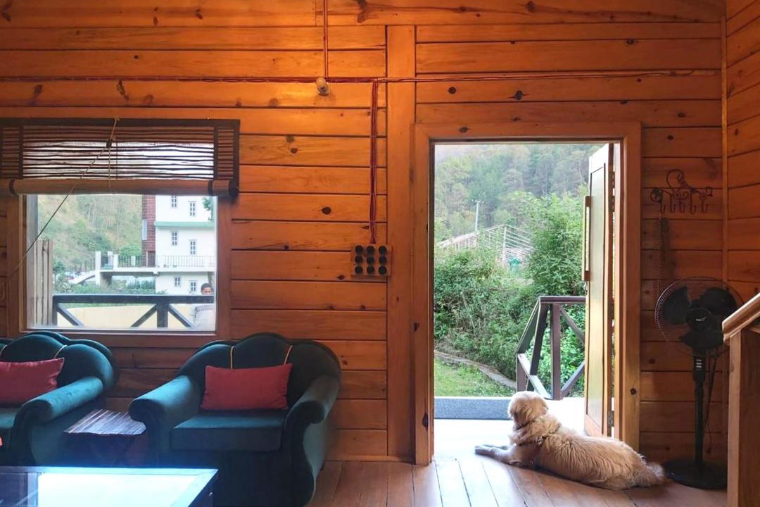 Photo of Livingroom in Bhimtal