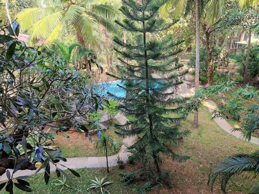 Photo of Outdoor in Canacona