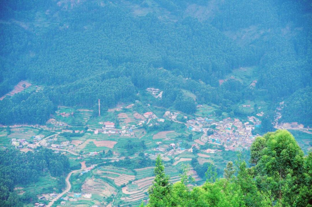 Photo of Others in Vattavada