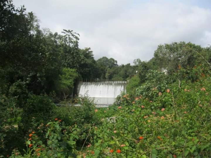 Photo of Others in Stuart Hill