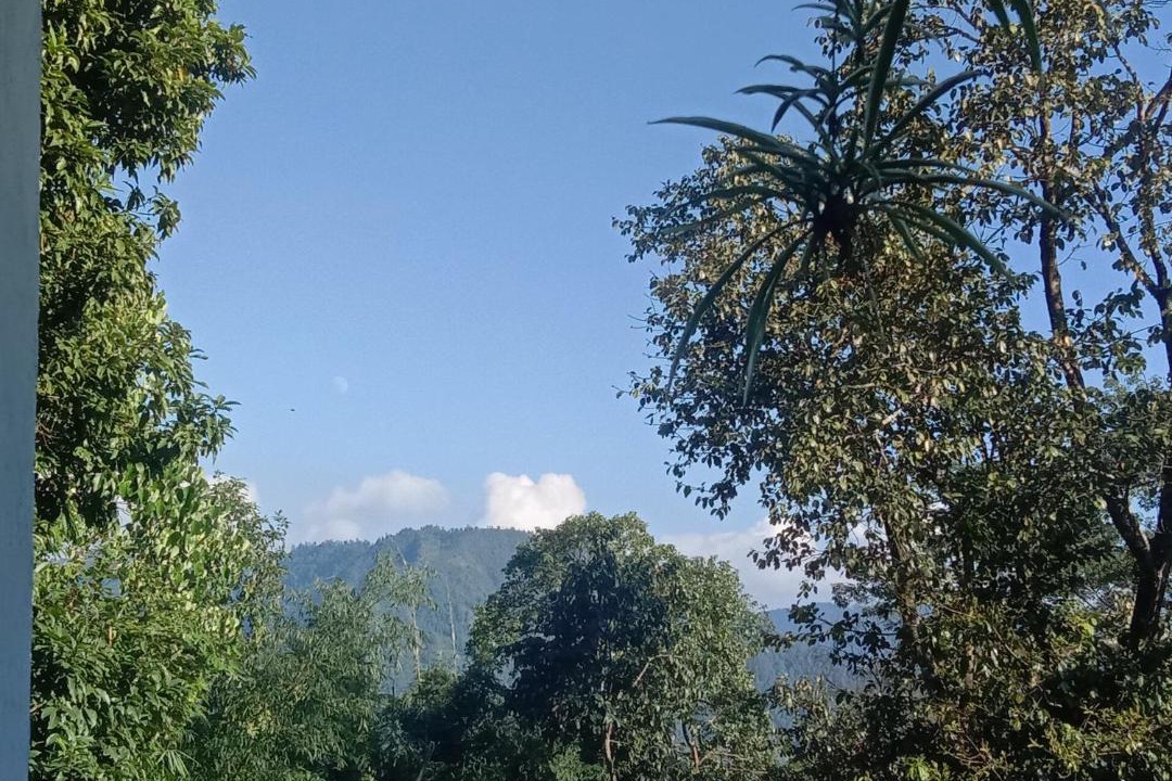 Photo of Others in Kalimpong